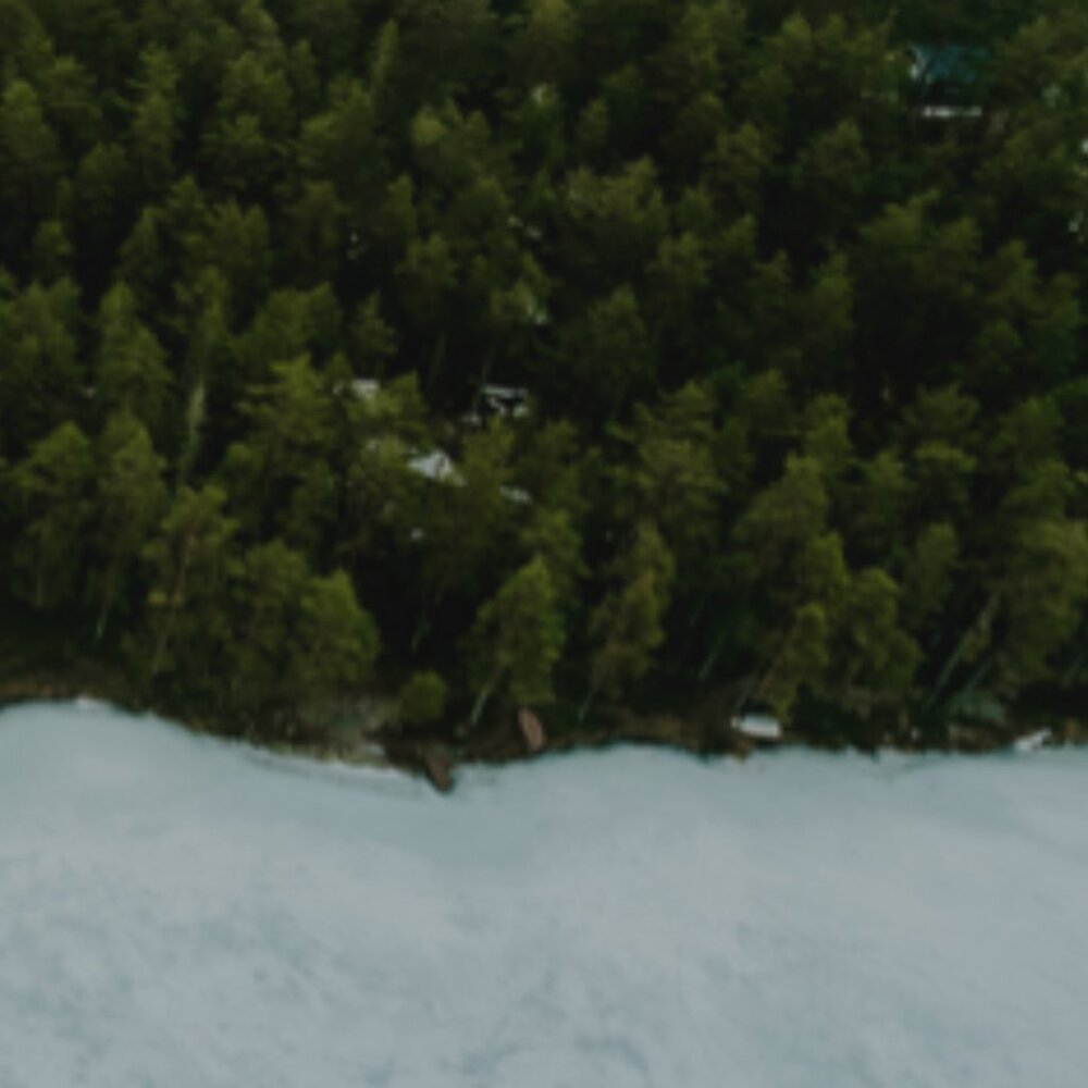 Meet your Posher, Martha